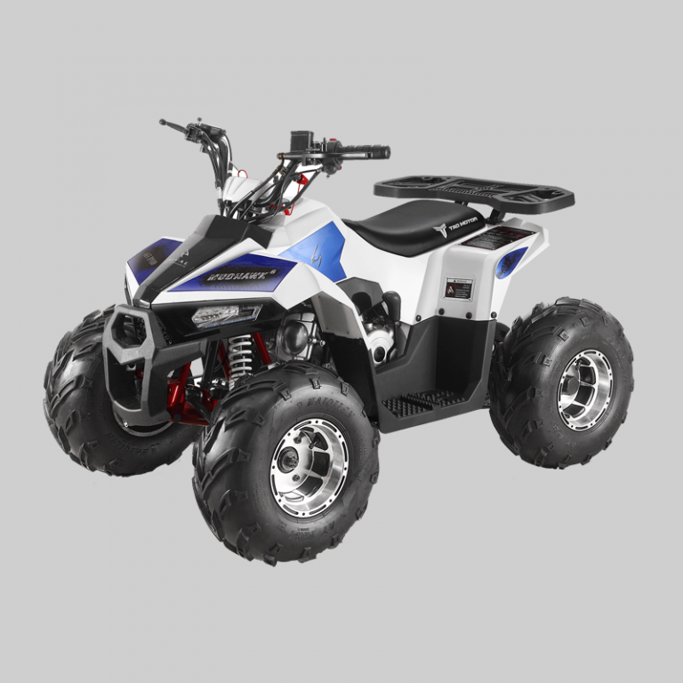 Shark 200 Gasoline ATV TaoMotor