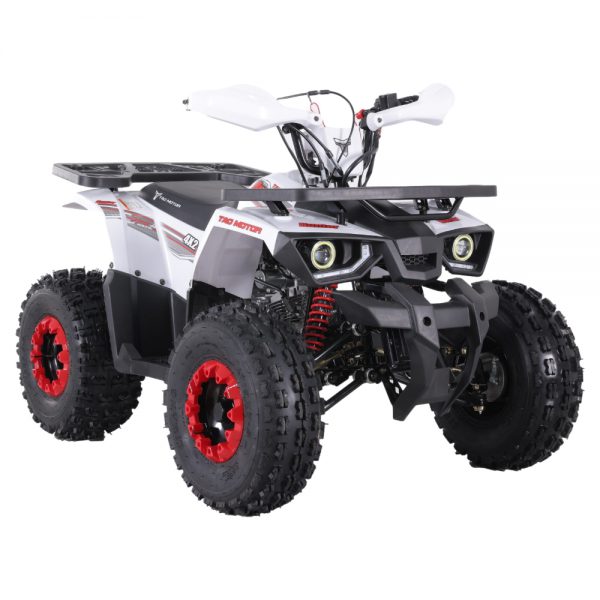 HUNTER 125 - Image 2