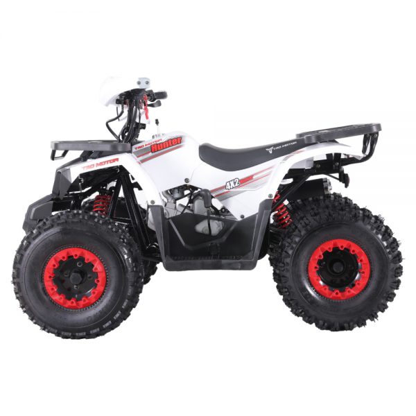 HUNTER 125 - Image 3