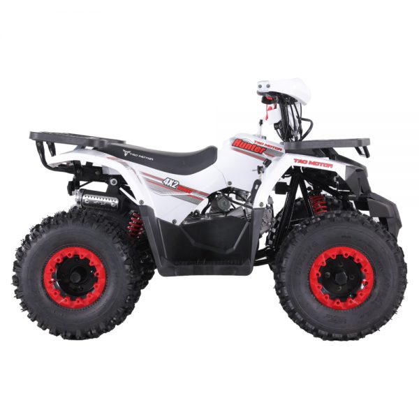 HUNTER 125 - Image 4
