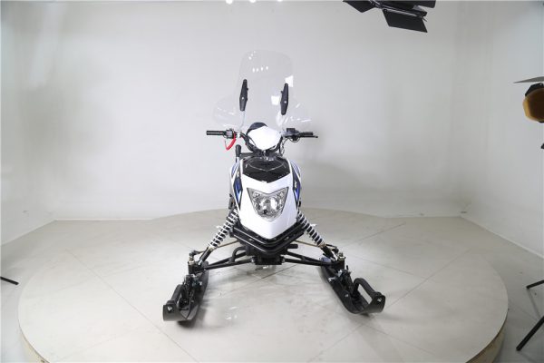 Snowfox III - Image 4