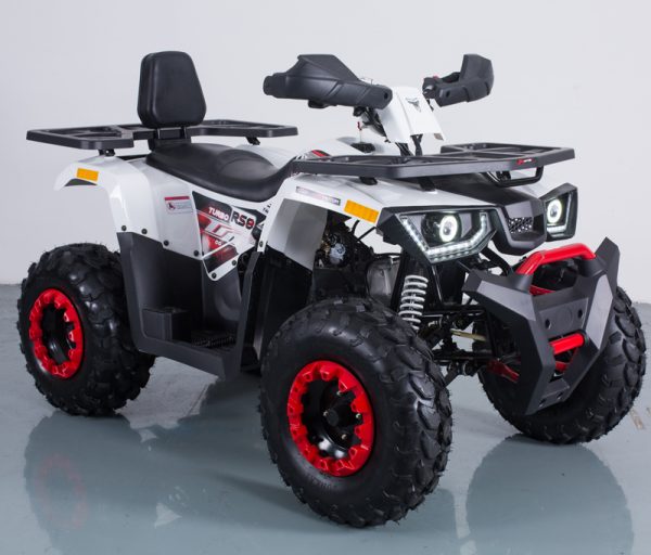 BRAVES 200 - Image 4