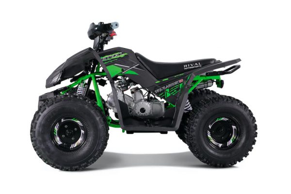 COYOTE 125 - Image 4