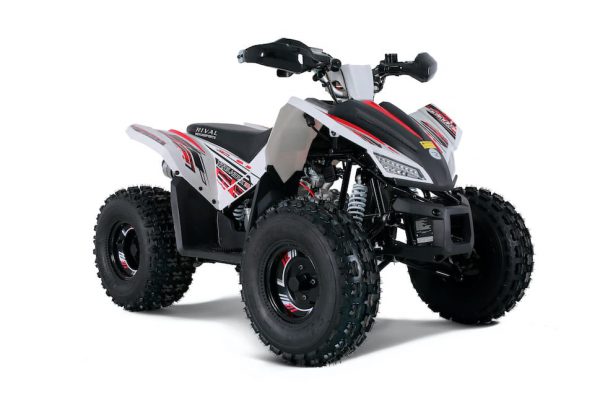 COYOTE 125 - Image 2