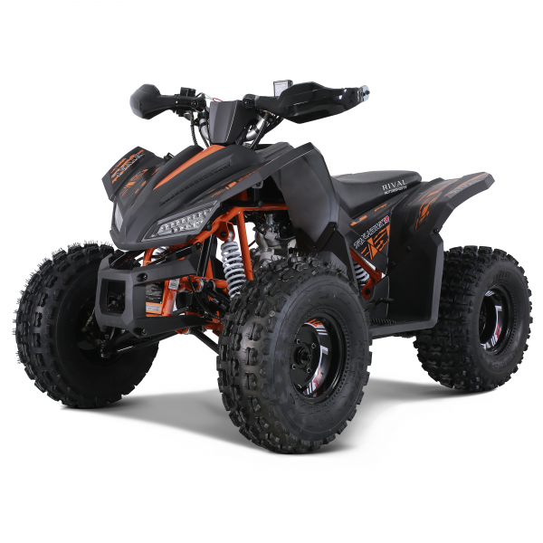 COYOTE 150 - Image 5