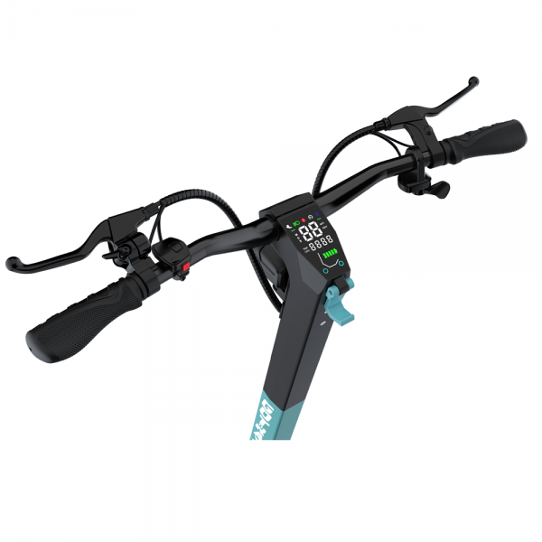 GT11 - Image 8