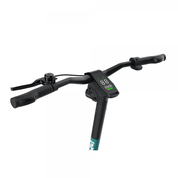 GT13 - Image 8