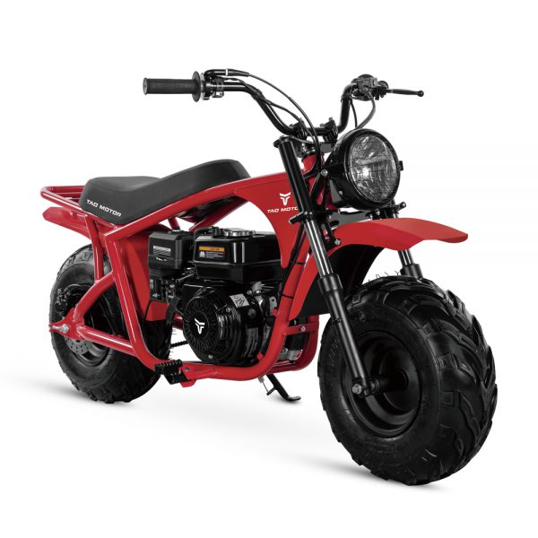 DB200 - Image 4