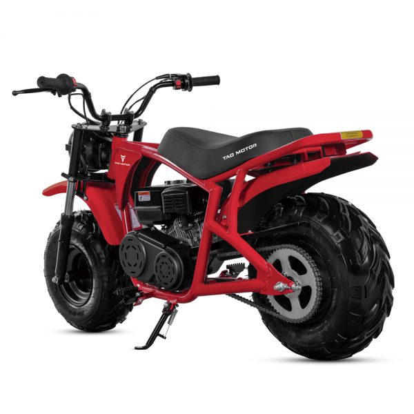 DB200 - Image 5