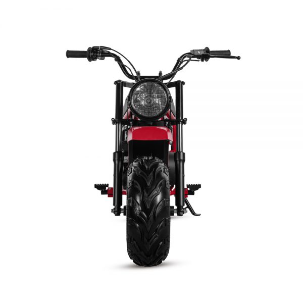 DB200 - Image 7