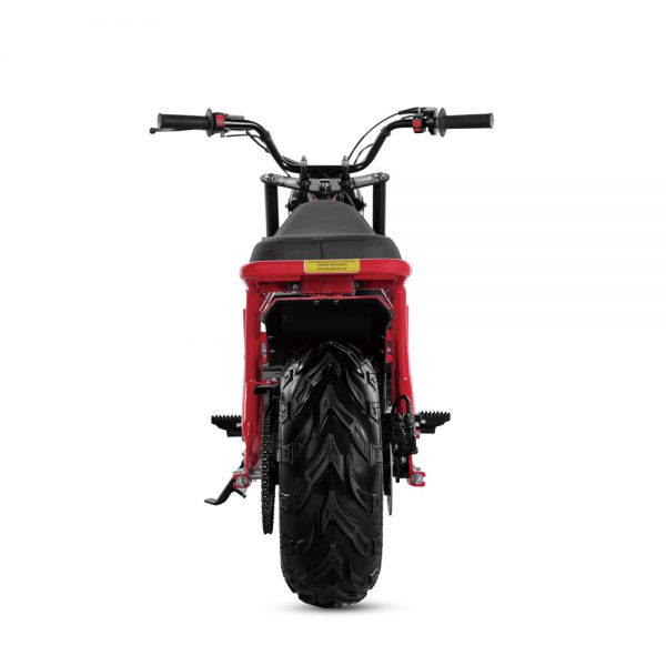 DB200 - Image 8