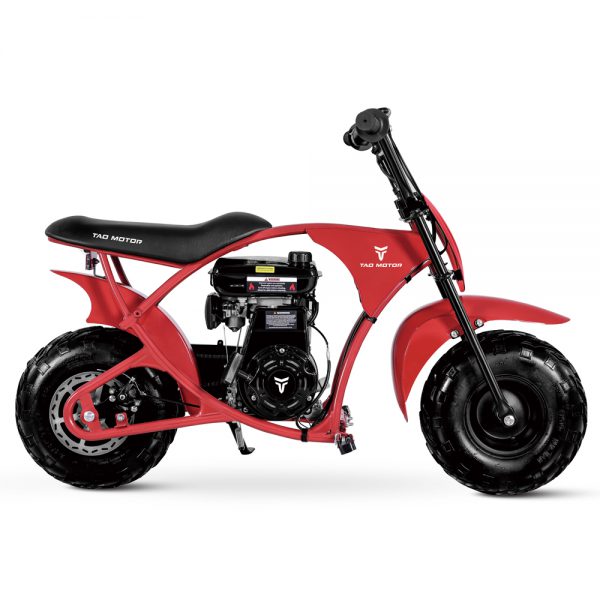 DB100 - Image 2