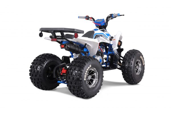 CHEETAH PLATI 125 - Image 12