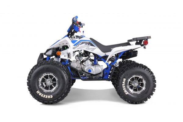 CHEETAH PLATI 125 - Image 11