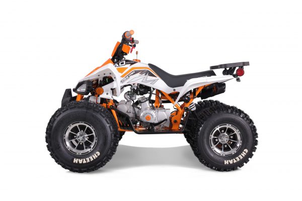CHEETAH PLATI 125 - Image 15
