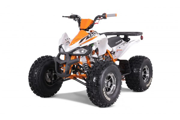 CHEETAH PLATI 125 - Image 13