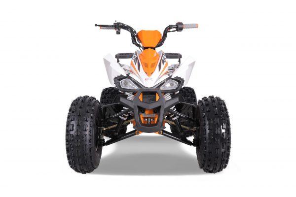 CHEETAH PLATI 125 - Image 14