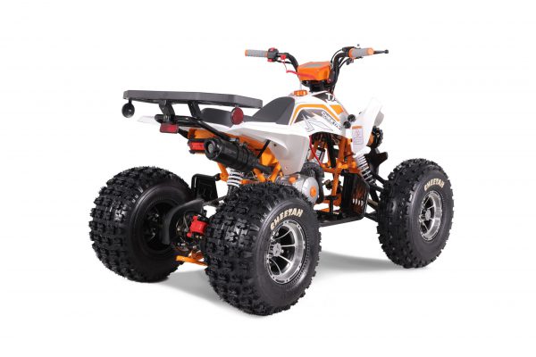 CHEETAH PLATI 125 - Image 16