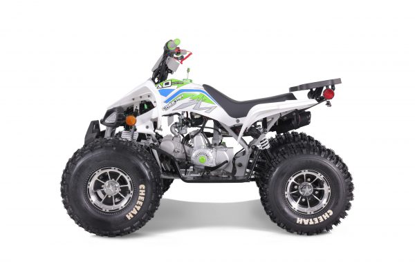 CHEETAH PLATI 125 - Image 7