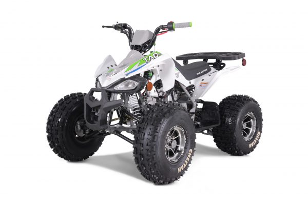 CHEETAH PLATI 125 - Image 5