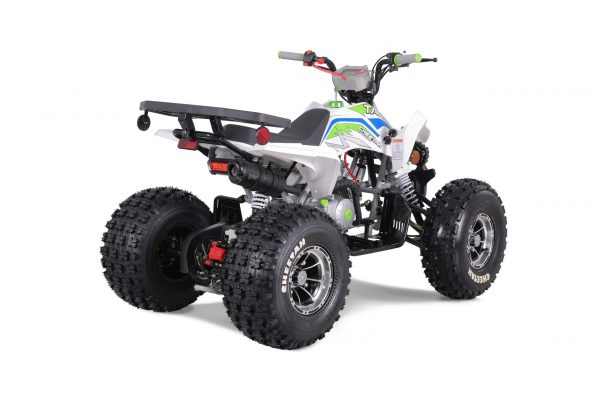 CHEETAH PLATI 125 - Image 8