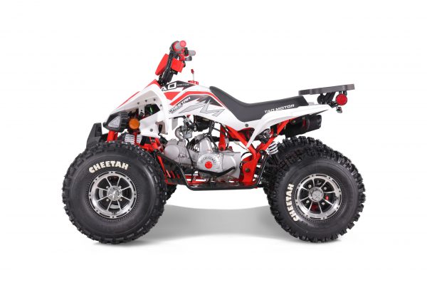 CHEETAH PLATI 125 - Image 3