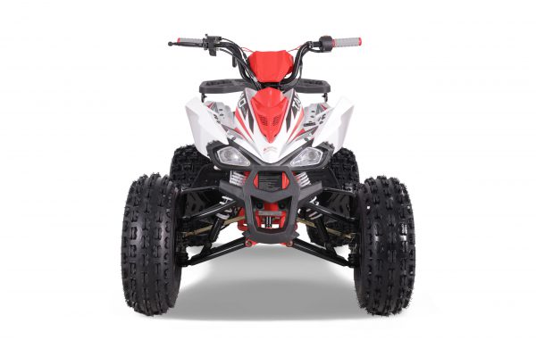 CHEETAH PLATI 125 - Image 2