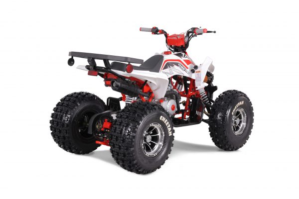CHEETAH PLATI 125 - Image 4