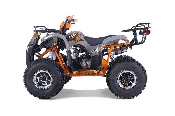 TFORCE PLATI 125 - Image 6