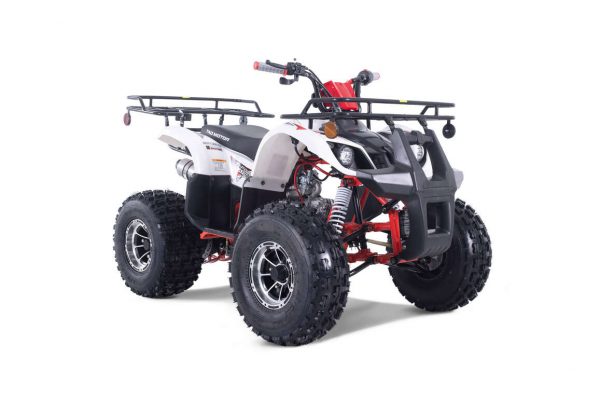 TFORCE PLATI 125 - Image 11