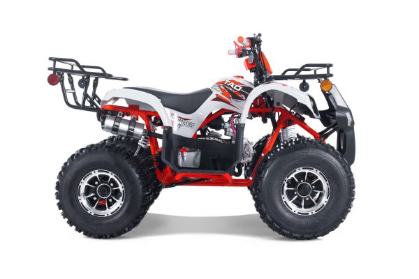 TFORCE PLATI 125 - Image 12