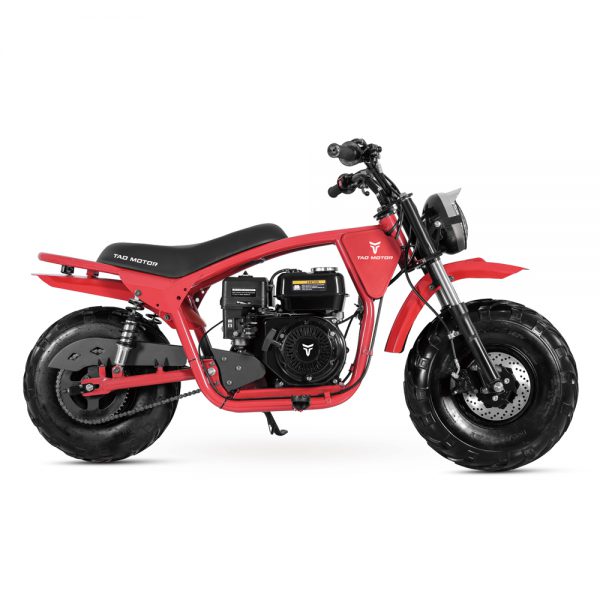DB200 MAX - Image 2