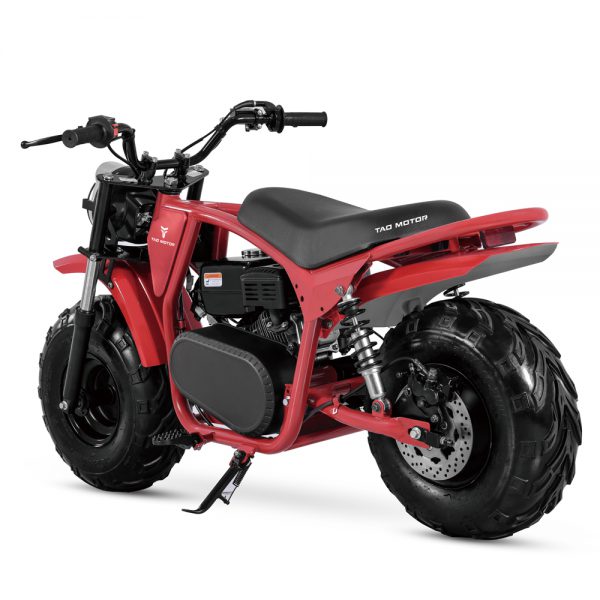 DB200 MAX - Image 5