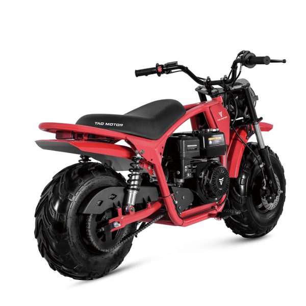 DB200 MAX - Image 6