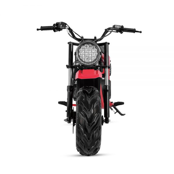 DB200 MAX - Image 7