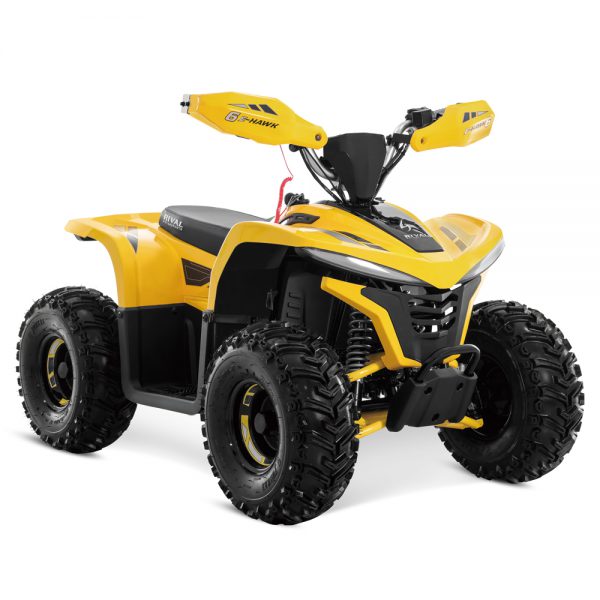 2023 New E-ATV Yellow - Image 4